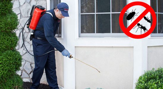 Altınordu Hamam Böceği İlaçlama böcek ilaçlama ve haşere kontrolü — ilaclama-tr.com
